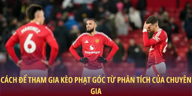 Cách để tham gia kèo phạt góc từ phân tích của chuyên gia