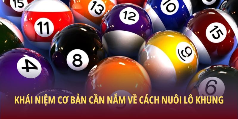 Khái niệm cơ bản cần nắm về cách nuôi lô khung